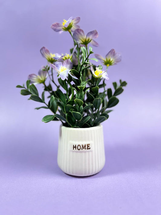 Miniature planter for Home and Office Decor