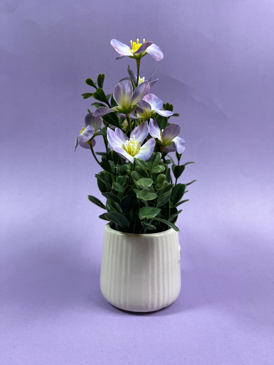 Miniature planter for Home and Office Decor