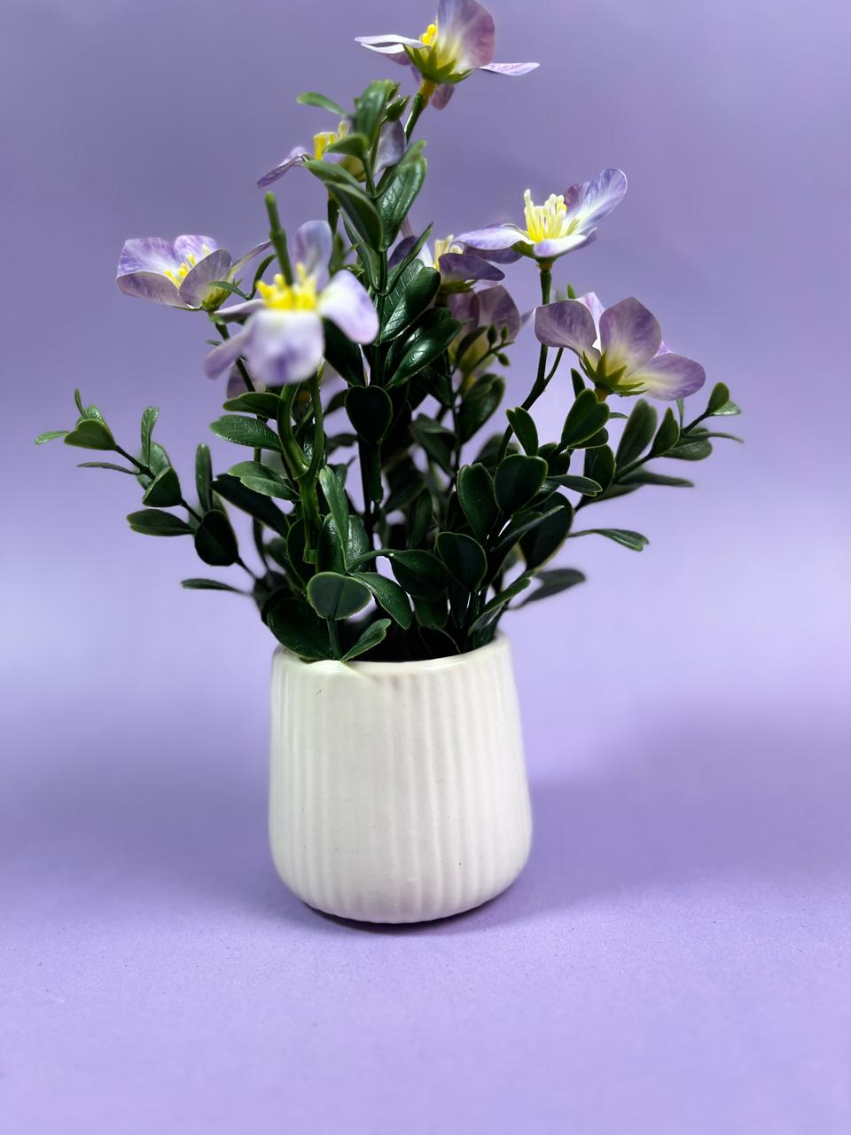 Miniature planter for Home and Office Decor