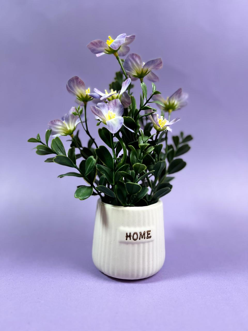 Miniature planter for Home and Office Decor